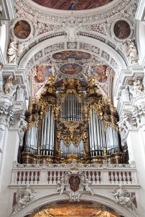 organ.jpg